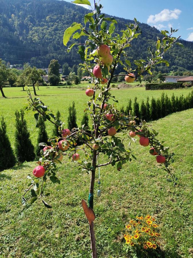 Apartment - Ferienwohnung 1 Treffen Am Ossiachersee Zewnętrze zdjęcie